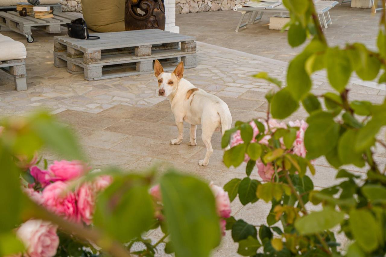 Borgo Canneto Rodi Garganico Extérieur photo